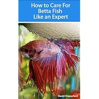 How to Care for Betta Fish Like an Expert (Aquarium and Turtle Mastery Book 4)