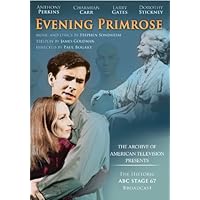 Evening Primrose Evening Primrose DVD