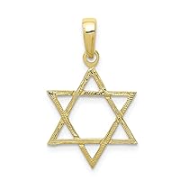 10k Gold Religious Judaica Star of David Pendant Necklace Measures 25x15mm Wide Jewelry for Women