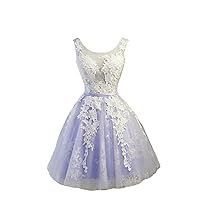 Women's Homecoming Dresses Tulle Homecoming Dresses for Teens Short Prom Dresses Lace Applique Homecoming Dress