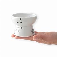 Necoichi Raised Stress Free Cat Food Bowl, Elevated, Backflow Prevention, Dishwasher and Microwave Safe, No.1 Seller in Japan! (Cat, Mini)