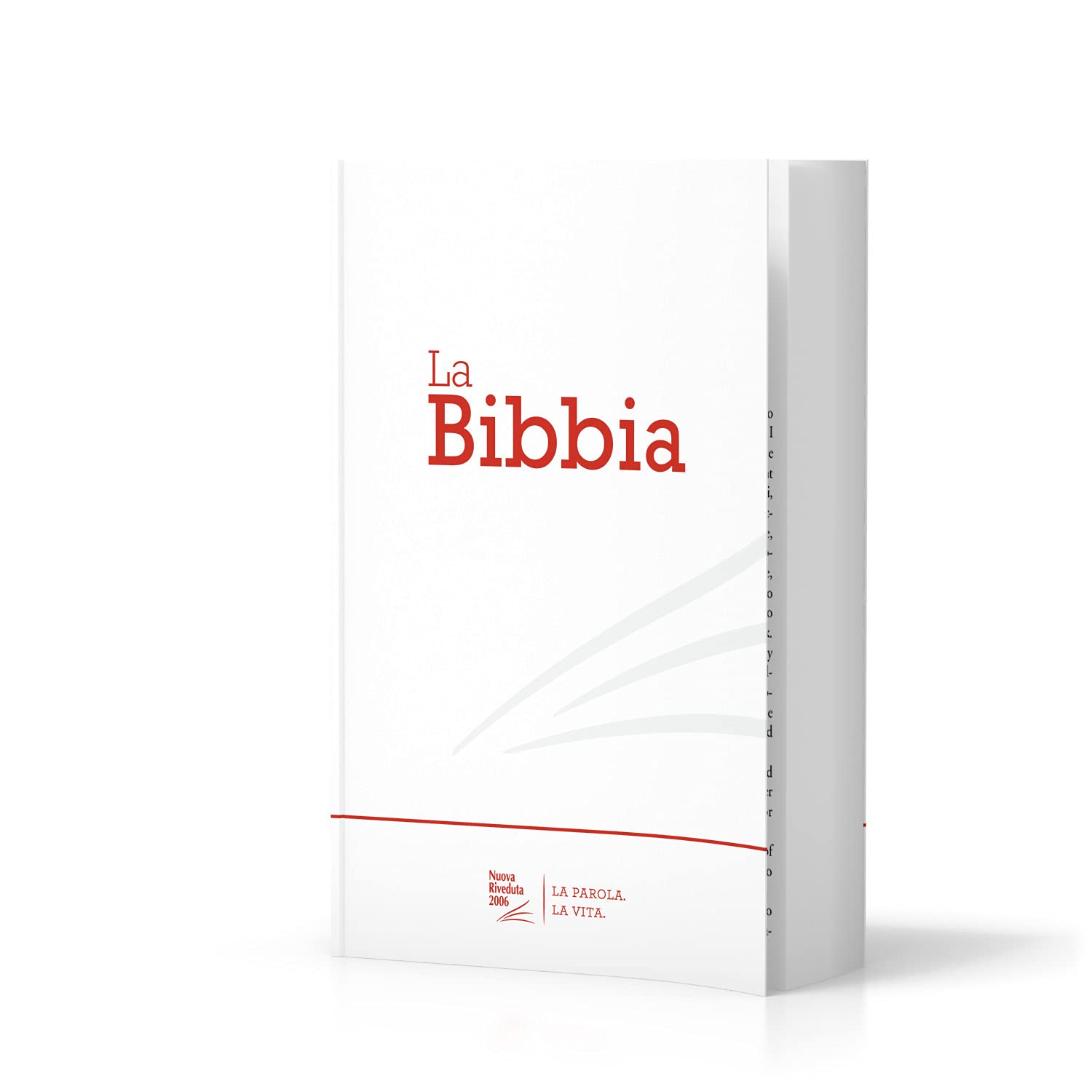 Bibbia Nuova Riveduta: copertina in brossura illustrata