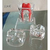 75mm Dental Transparent Teeth Model Detachable Pathology Demonstration Tooth Molar Model Crystal Base Dentistry Removable Tooth Teaching Tools 4 Parts