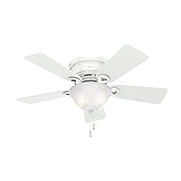 Hunter Fan Company 51022 Hunter Conroy Indoor Low Profile Ceiling Fan with LED Light and Pull Chain Control, 42