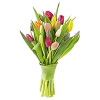 PRIME NEXT DAY DELIVERY - Mother’s Day Collection - Bouquet of 10 Assorted Tulips Gift for Birthday, Sympathy, Easter, Mother’s Day Fresh Flowers