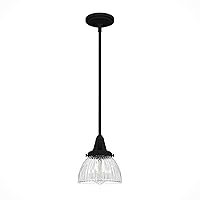 Hunter - Cypress Grove 1-light Natural Black Iron, Mini Pendant Light, Dimmable, Transitional Style, Dome Shaped, for Bedrooms, Kitchens, Dining, Living Rooms - 19229