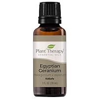 Plant Therapy Egyptian Geranium Essential Oil 100% Pure, Undiluted, Natural Aromatherapy, Therapeutic Grade 30 mL (1 oz)