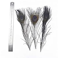Zamihalla 20pcs/Lot Black Feathers Rooster Goose Pheasant Feathers for Crafts Dyed Chicken Duck Peacock Father Wedding Decoration Plumes - 25-30CM 10-12inch