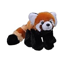 Red Panda Plush, Stuffed Animal, Plush Toy, Gifts for Kids, Cuddlekins, 8 Inches, Model:10876