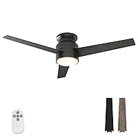 warmiplanet Flush Mount Ceiling Fan with Lights Remote Control, 52-Inch, Black, 3-Blades