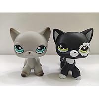 2pcs/Lot Set Pets Littlest Pet Shop LPS #391#2249 Cats Kitty lps Doll Collection Figure Toys Rare Gift Girl Toys