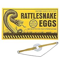 Rhode Island Novelty Joke Rattlesnake Egg Envelopes, One Dozen per Order