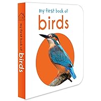 My First Book of Birds My First Book of Birds Board book Kindle