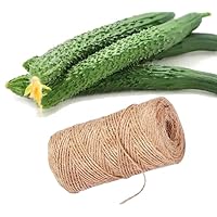 Bundle: Asian Cucumber Seeds-China Long Hybrid + 328ft Natural Jute Twine String for Gardening