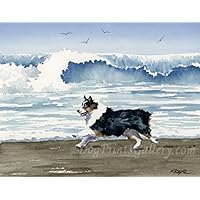 Australian Shepherd on the Beach Art Print by Watercolor Artist DJ Rogers