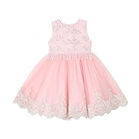 Girl Dress Kids Flower Embroidery Lace Bridesmaid Dress Beaded Party Dance Gown Holiday Party Dresses