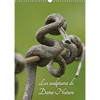 Les sculptures de Dame nature 2020: Toutes les beautee de la nature sous vos yeux (Calvendo Art) (French Edition)