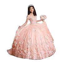 Stunning Off The Shoulder 3D Floral Flower Patterned Ball Gown Quinceanera Dresses V Neck Sweet 16 Prom Dress 2024