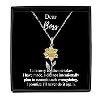 I'm Sorry Boss Necklace Pardon Gift Meaningful Present For The Mistakes I Have Made Quote Pendant Jewelry Sterling Silver With Box