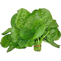 100pcs Malabar Spinach Seeds USA Green Vegetable Lettuce Plant