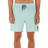Hurley Men's One and Only 17