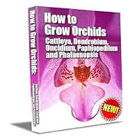 How to grow orchids: Cattleya, Dendrobium, Oncidium, Paphiopedilum and Phalaenopsis