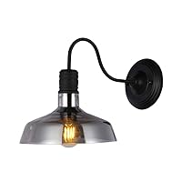 Warehouse of Tiffany WBD020 Salvin Black Metal 1-Light 10-Inch Smoked Glass Shade Includes Edison Bulb Wall Sconce
