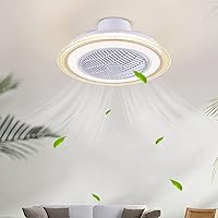 Ceiling Fans with Lamps,Remote Control Silent 3 Speeds Bedroom Dimmable Fan Ceiling Light with Timer 80W Modern Living Room Quiet Ceiling Fan Light/Beige