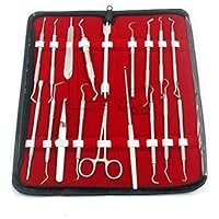 Assorted Set of 18 PCS Dental Orthodontic Instruments Set of Scraper and SCALERS