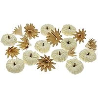 Boston International Fall Autumn Harvest Thanksgiving Décor Tabletop Boxed Pumpkins, Mini, White