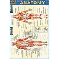 Anatomy (Quickstudy) by Inc. BarCharts (2003-06-30) Anatomy (Quickstudy) by Inc. BarCharts (2003-06-30) Pamphlet Wall Chart
