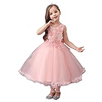 Girls Lace Flower Embroidery Pageant Princess Dress Wedding Party Maxi Dresses Bridal Ball Gowns