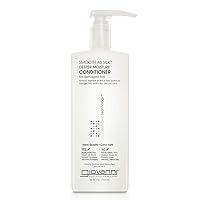 Smooth As Silk Deeper Moisture Conditioner - Calms Frizz, Adds Moisture, Detangles, Wash & Go, Infused with Natural Botanical Ingredients, Color Safe, Sulfate Free - Apple & Aloe, 24 oz