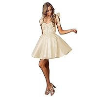 ZHengquan Women's Glitter Tulle Homecoming Dresses for Teens Lace Applique Spaghetti Strap Short Prom Dressees