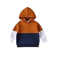 Sweatshirt for Babys Baby Kids Toddler Boys Tops Children's Solid Plus Babies Toddler Fall Spring Casual Cute