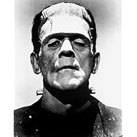 Boris Karloff - The Bride of Frankenstein - Movie Still Magnet