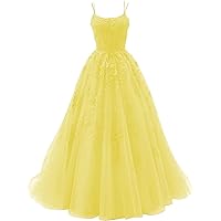 Tulle Spaghetti Straps Prom Dresses Long Lace Appliques Ball Gowns for Women