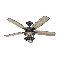 Hunter Fan Company 59420 Coral Bay Indoor/Outdoor Ceiling Fan with LED Light and Remote, 52, Black