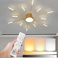 32 Inch Dimmable LED Ceiling Light Fixture,12 Lights Ceiling Lights Flush Mount Chandelier Gold Indoor Lighting for Living Room,12W+12W Firework Deco Close to Ceiling Light with Remote Control