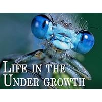 Attenborough: Life in the Undergrowth