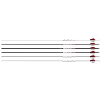 KI Intense Select 6 Pack of Arrows. These Arrows Have a 340spine, 001