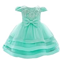Dressy Daisy Baby Flower Girls Dresses Special Occasion Wedding Birthday Party Fancy Tiered Gown