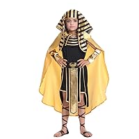 DSplay Boy Egyptian Pharaoh Costume Role Play Kid Halloween
