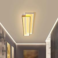 Ceiling Light,Modern LED Long Ceiling Lamps with 2 Rectangle, Acrylic Flush Mount Ceiling Lights Fixtures for Kitchen Dining Living Room Study Flush Mount Chandelier