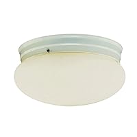 Trans Globe Imports PL-3620-1 WH Traditional One Light Flushmount from Dash Collection in White Finish, 10.00 inches