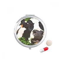Pcture Terrestrial Organism Animal Cow Travel Pocket Pill case Medicine Drug Storage Box Dispenser Mirror Gift