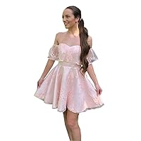 Ball Gown Short Homecoming Cocktail Party Dresses for Junior Teen Women Off Shoulder Lace with Sleeve 2024