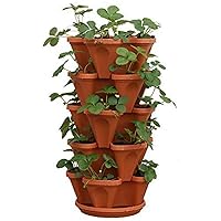 5-Tier Strawberry Planter Pot, 5 Pots