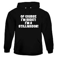 Of Course I'm Right! I'm A Stillwagon! - Soft Men's Pullover Hoodie