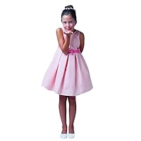 Sweet Kids Little Girls' Petite Polka Dot Jacquard Dress